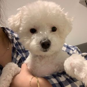 Meet your Posher, Jeayi